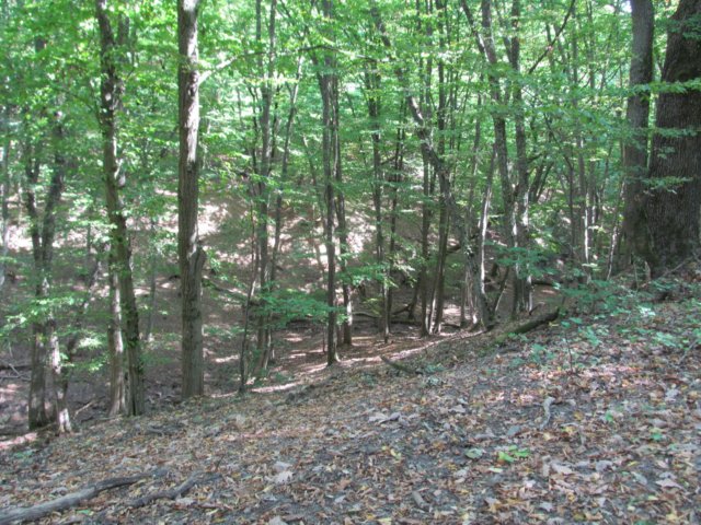 img_9994.jpg