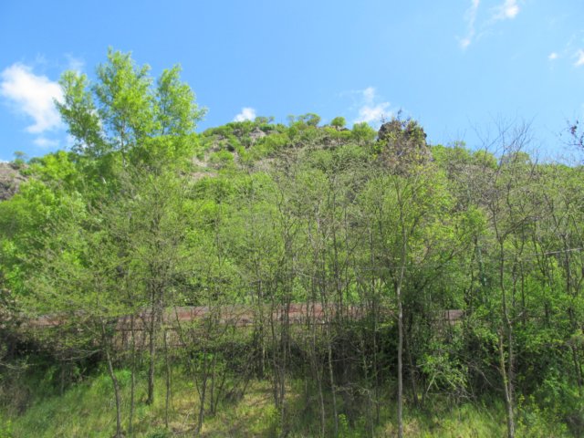 img_9580.jpg