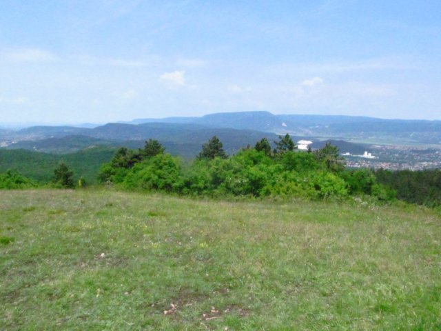 img_9630.jpg