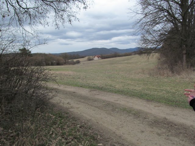 img_9517.jpg