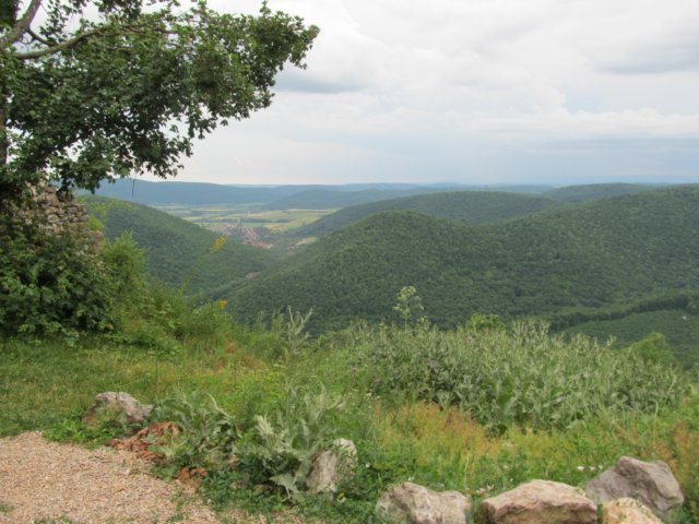 img_9662.jpg