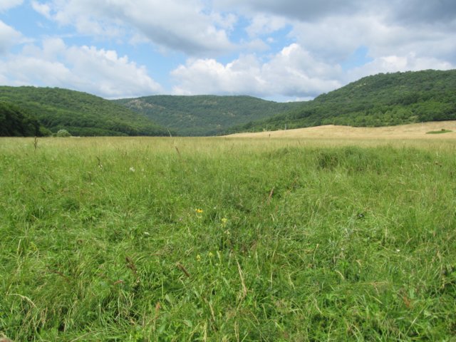 img_9674.jpg