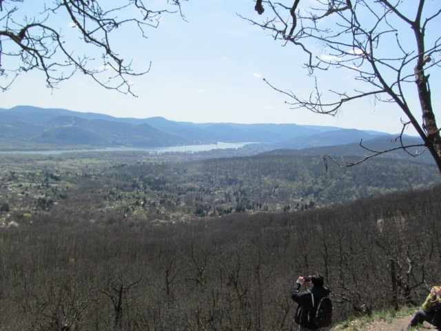 img_9547.jpg