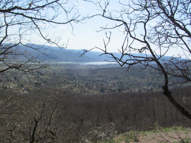 img_9548.jpg